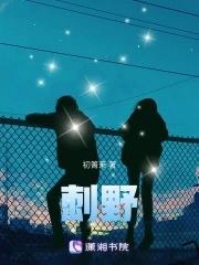 刺野里傅朝野免费阅读