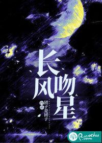 星越长风版怎么样