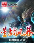 星战风暴精校版