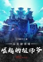 从无敌领域崛起的祖师爷在哪可以看