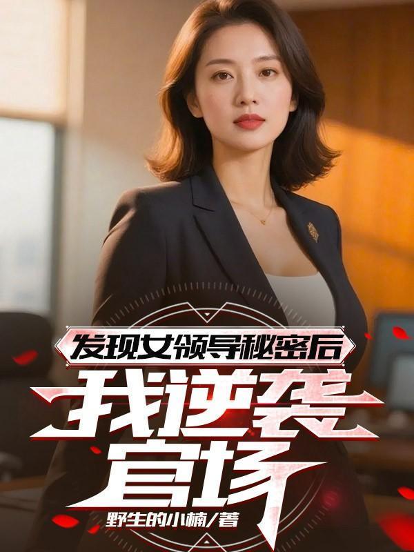 发现女领导秘密后,我逆袭官场
