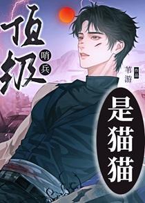 顶级哨兵是猫猫