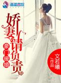 豪门暖婚之娇妻谁负责