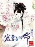 重生之宠妻如命txt