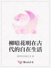柳暗花明诗词