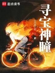 寻宝神瞳百度百科