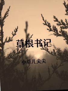 草根书记李天意刘晓宁