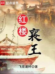 红楼襄王八零电子书