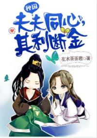 夫夫同心其利断金番外