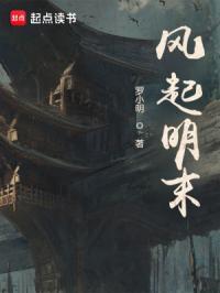 风起明场