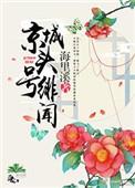 京城头号绯闻正版