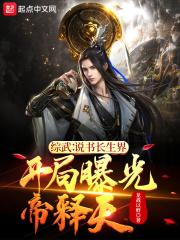 综武说书人