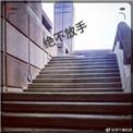 绝不放手电视剧