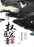 权臣宠妻手册