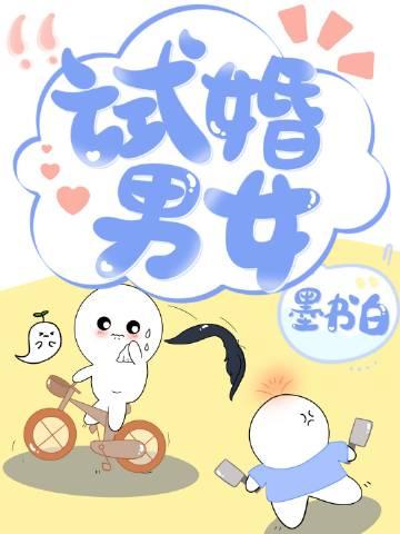 试婚意思