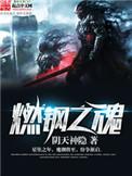 燃钢之魂的战力体系