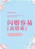 闪婚容易离婚难陈希