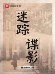 迷踪谍影 第522章
