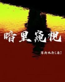 暗中窥探百科