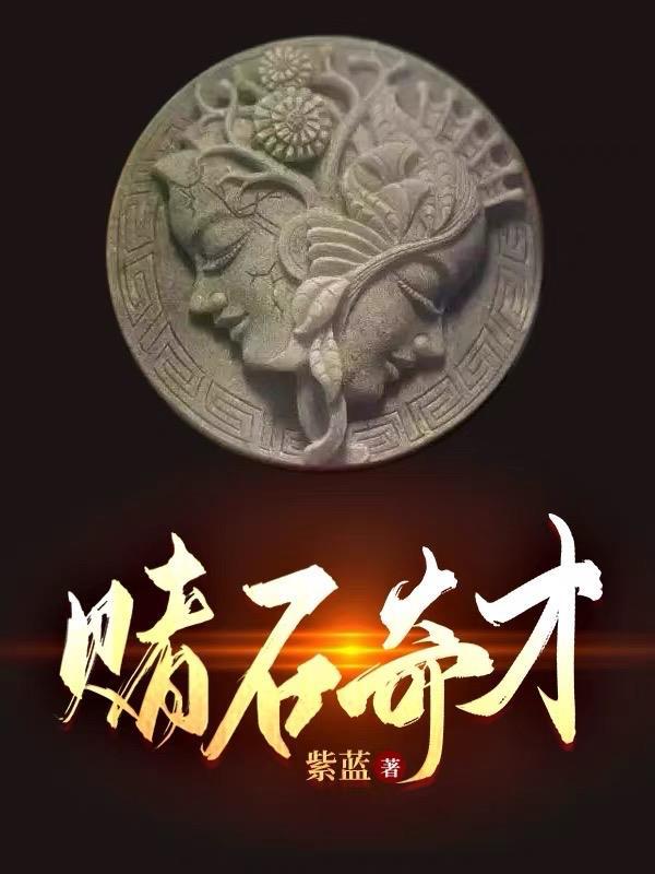 赌石奇才小农民后续