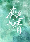 灰色与青gl的简介