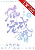 偏宠成婚阮时念免费阅读