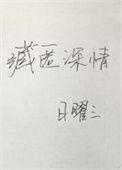 藏匿深情免费全文阅读无弹窗