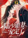 陆少甜妻宠定了百度