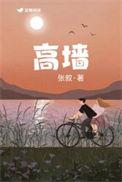 高墙边的混乱百度百科