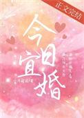 今日宜婚百度TXT