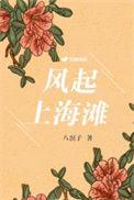 风起上海滩免费播放