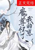 魔尊怀了我的崽穿书免费阅读