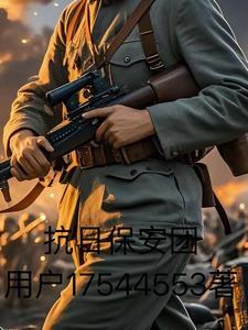 抗日保安团免费全文阅读