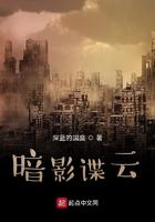 暗影谍云阅读