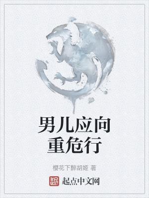 男儿应向重危行电子书网评