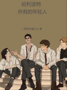 哈利波特年龄变化