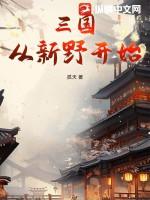 三国从新野开始孤天