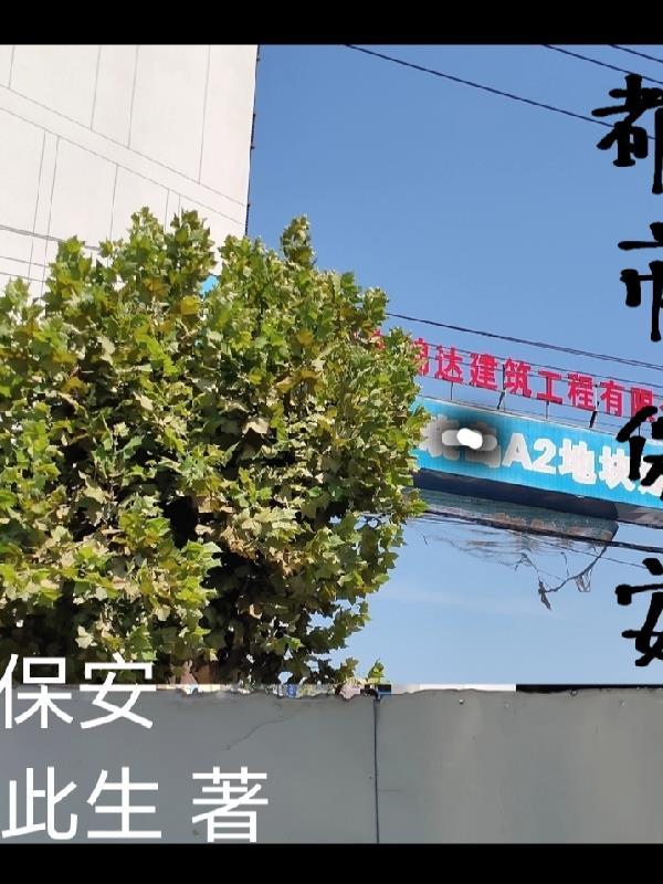都市保安逆袭记第100集