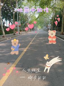 校园的情景怎么写三年级