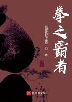 拳之霸者好看吗