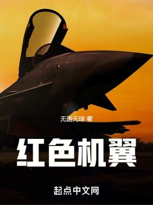 红色机翼在线观看