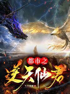 都市之逆天仙尊全文阅读