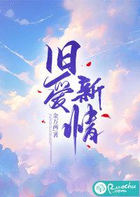 电视剧旧爱新欢