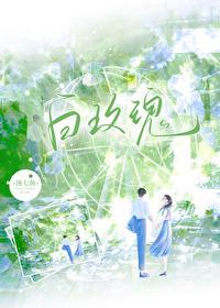 白玫瑰代表什么意思