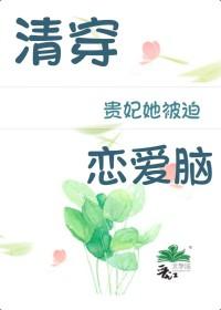 清穿之贵妃有喜全文免费阅读