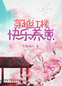 红楼穿越的推荐