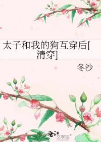 清穿太子妃勾搭大阿哥
