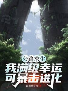 公路求生从破旧汽车开始林逸