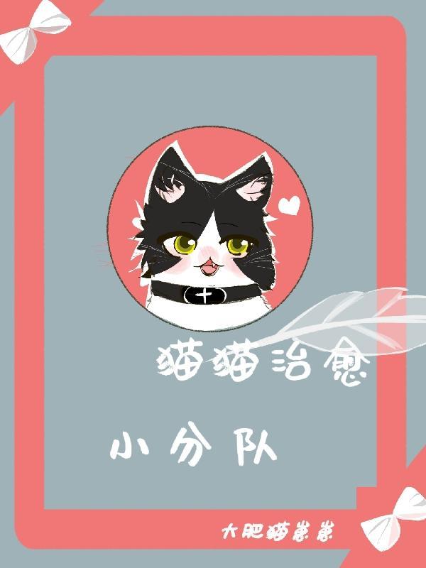 猫咪治愈着我