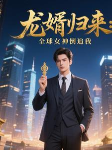 龙婿归来